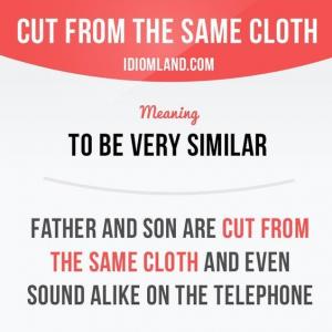 032- Idioms: "cut from the same cloth" ---