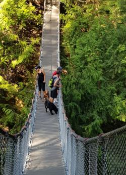 [No.001: Canada]  Learn English while traveling the world- Winter Travel in Vancouver