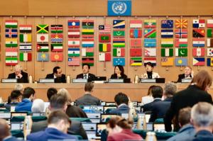 FAO Launches App to Empower Suriname's Indigenous Pineapple Farmers