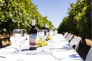 Rewild Wines: Raise a Glass to Regeneration and the Sustainability Movement to Heal the Earth