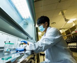 Kolmar BNH Accelerates Global Expansion with Export of Its Innovative Immune-Boosting Supplement to China