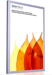 Signtech is Integrating Advertising with Technology for the 21st Century