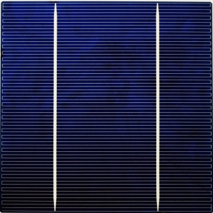 At the Center of the Development of Efficient and Competitive Energy Sources : Shinsung Solar Energy.