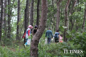 Korea IT Times’s reporters head to Mt. Youngmoon to dig 6-year-old deodeok