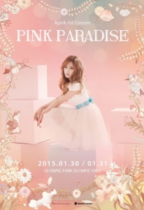 A Pink Released Individual Posters for the Upcoming Concert