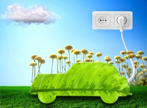 On the road to zero emissions, Bhutan hits a few electric car bumps