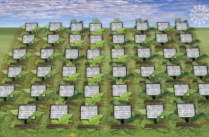 Walking through Fields of Data