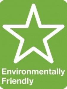 Green IT, Useful Technological Innovations or Useless Marketing Hype?